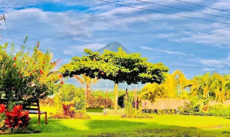 Hotel Befox Adventure La Fortuna Zewnętrze zdjęcie