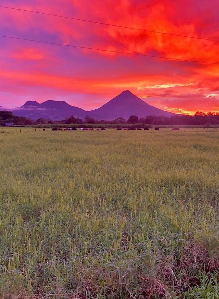 Hotel Befox Adventure La Fortuna Zewnętrze zdjęcie
