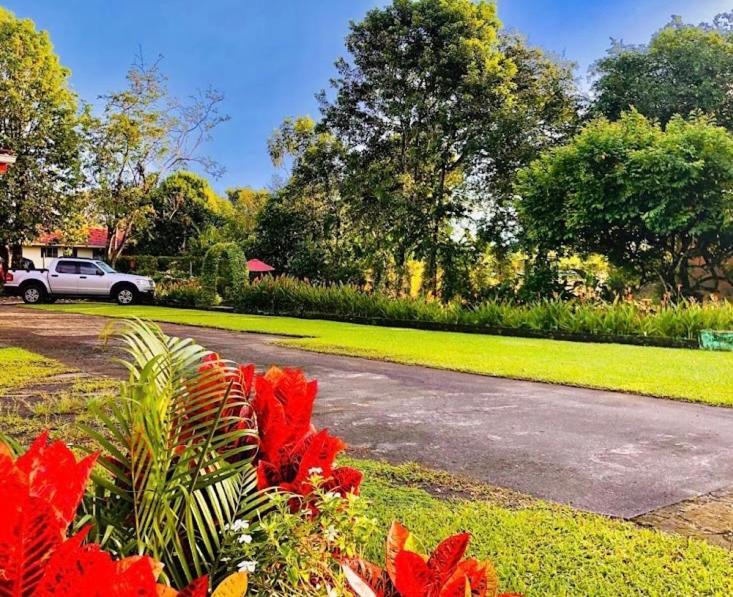 Hotel Befox Adventure La Fortuna Zewnętrze zdjęcie