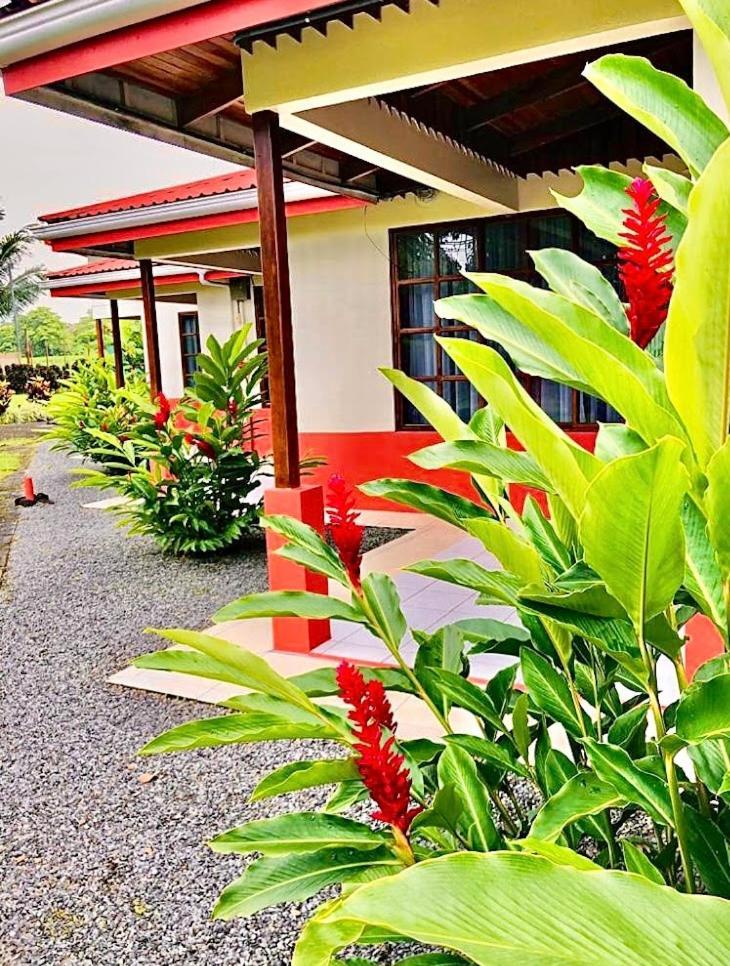 Hotel Befox Adventure La Fortuna Zewnętrze zdjęcie