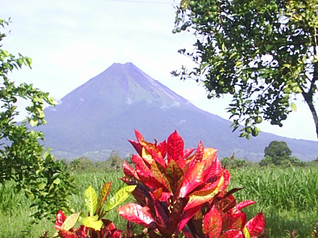 Hotel Befox Adventure La Fortuna Zewnętrze zdjęcie