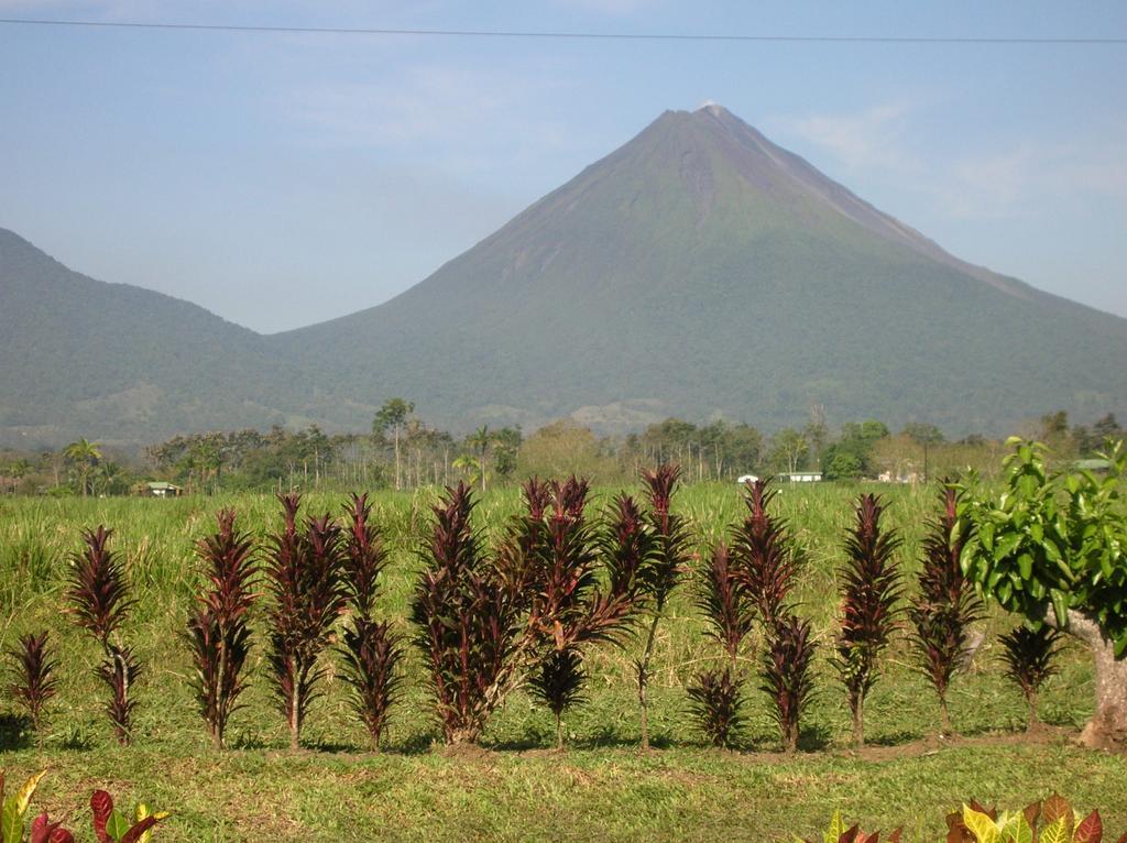 Hotel Befox Adventure La Fortuna Zewnętrze zdjęcie